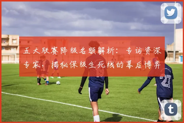 五大联赛降级名额解析：专访资深专家，揭秘保级生死线的幕后博弈